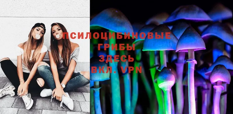 Псилоцибиновые грибы Cubensis  Уварово 